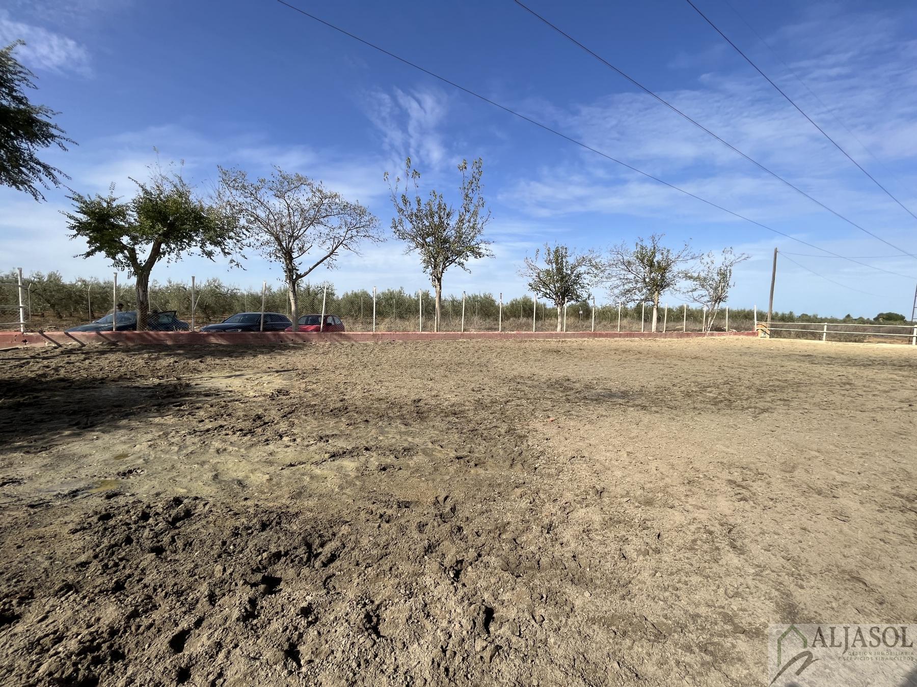 Venta de finca rústica en Bormujos