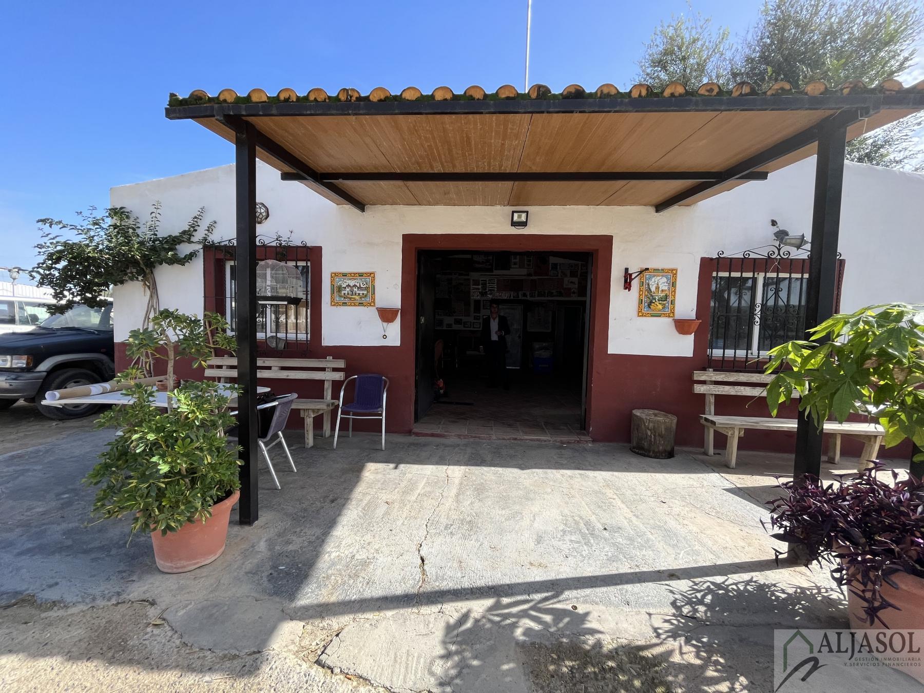 Venta de finca rústica en Bormujos