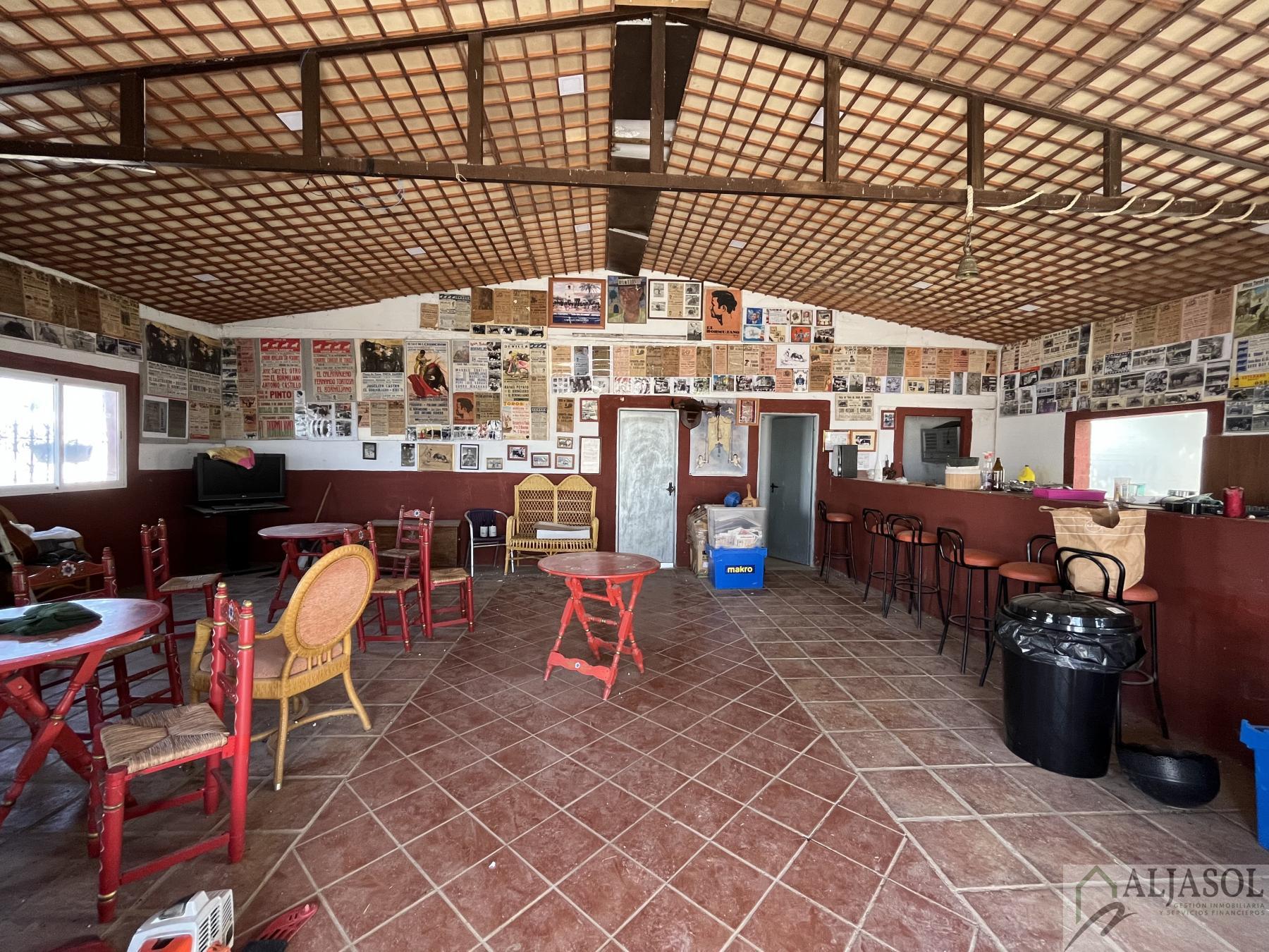 Venta de finca rústica en Bormujos