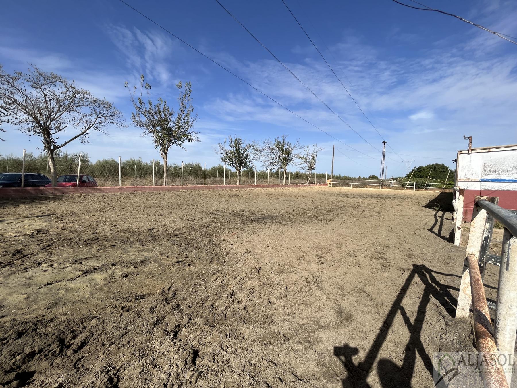 Venta de finca rústica en Bormujos