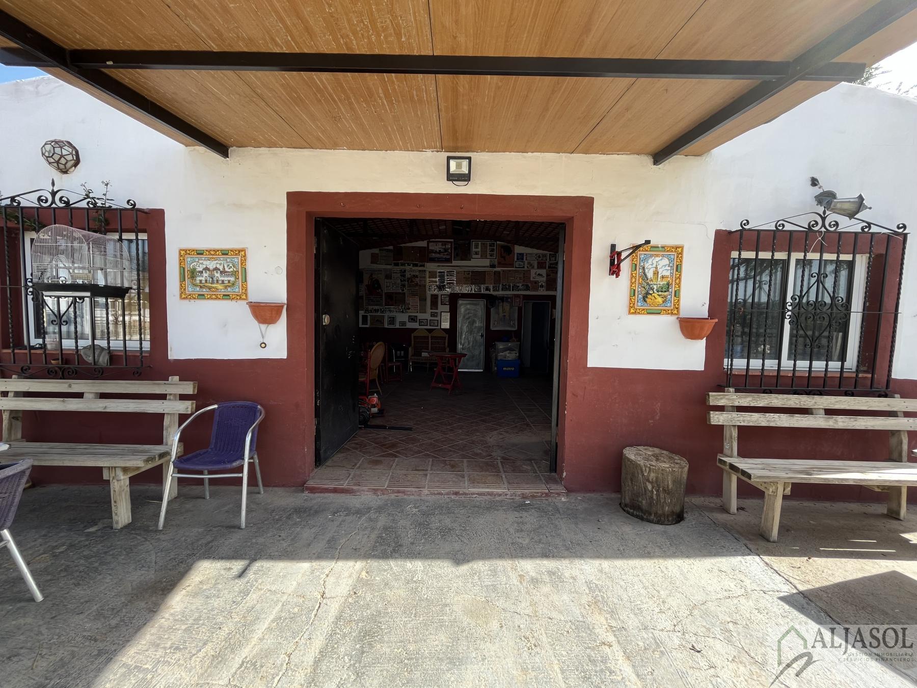 Venta de finca rústica en Bormujos