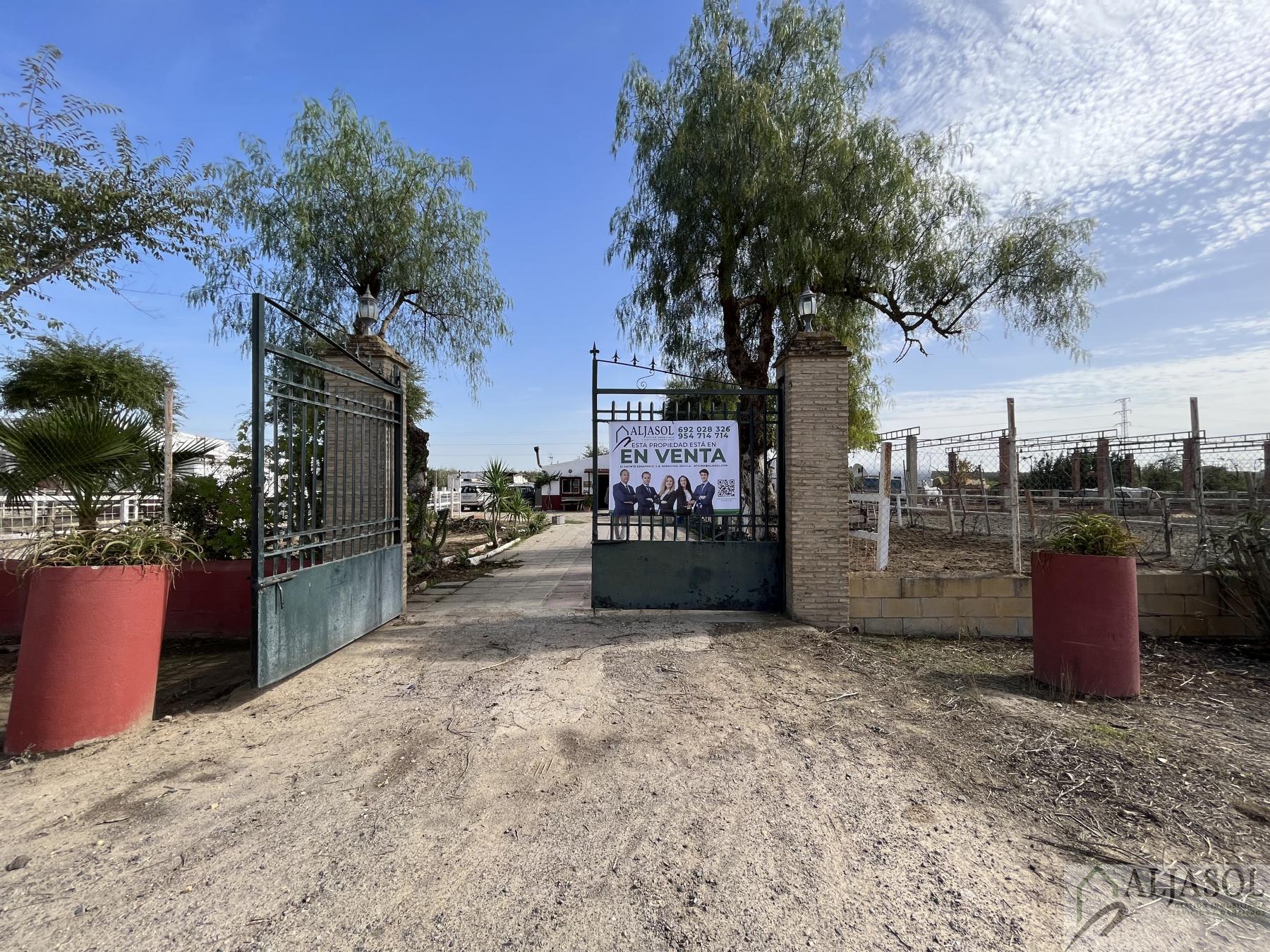 Venta de finca rústica en Bormujos