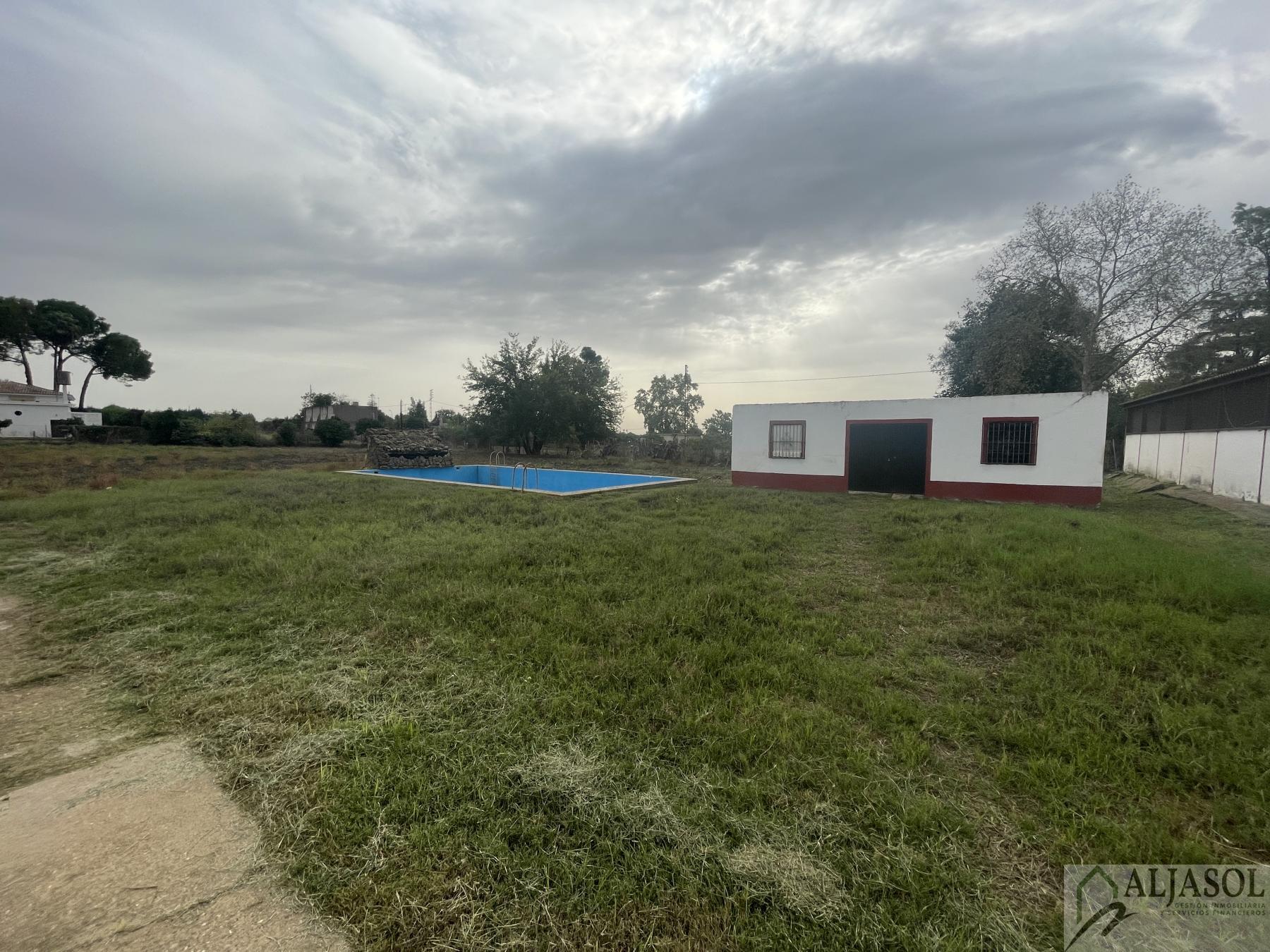 Venta de finca de recreo en Villanueva del Ariscal