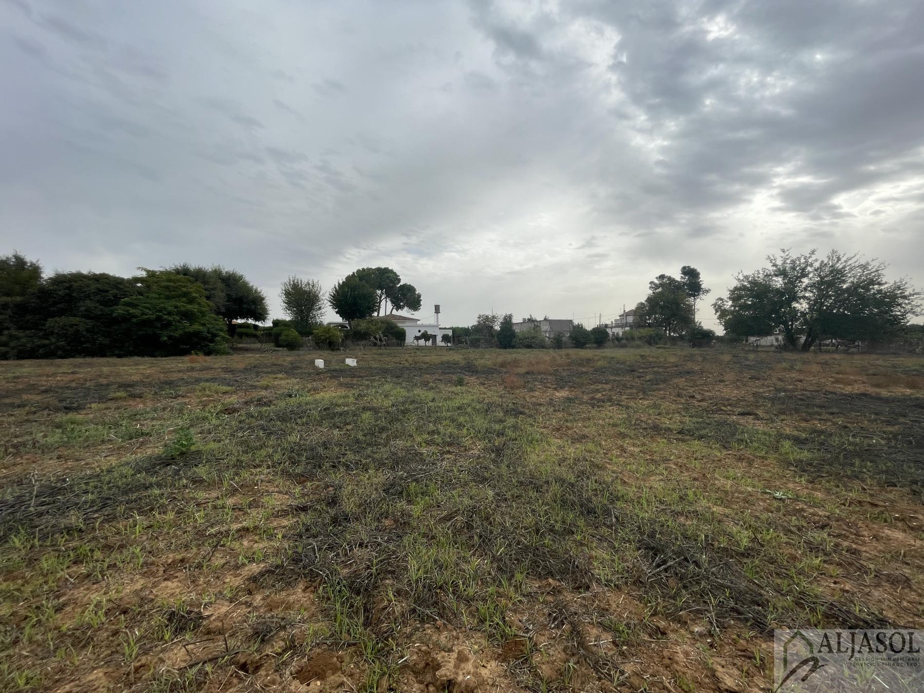 Venta de finca de recreo en Villanueva del Ariscal