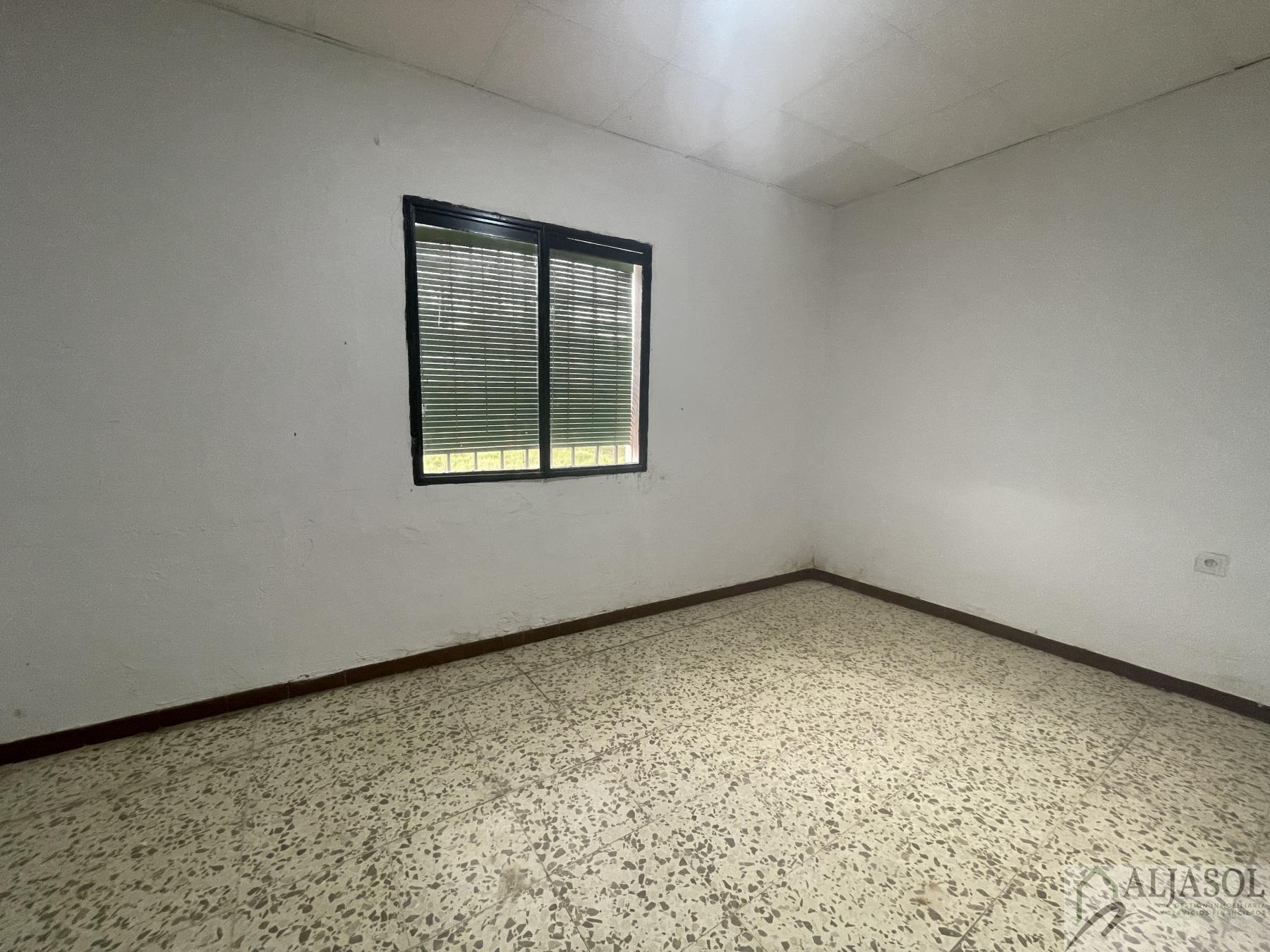 Venta de finca de recreo en Villanueva del Ariscal