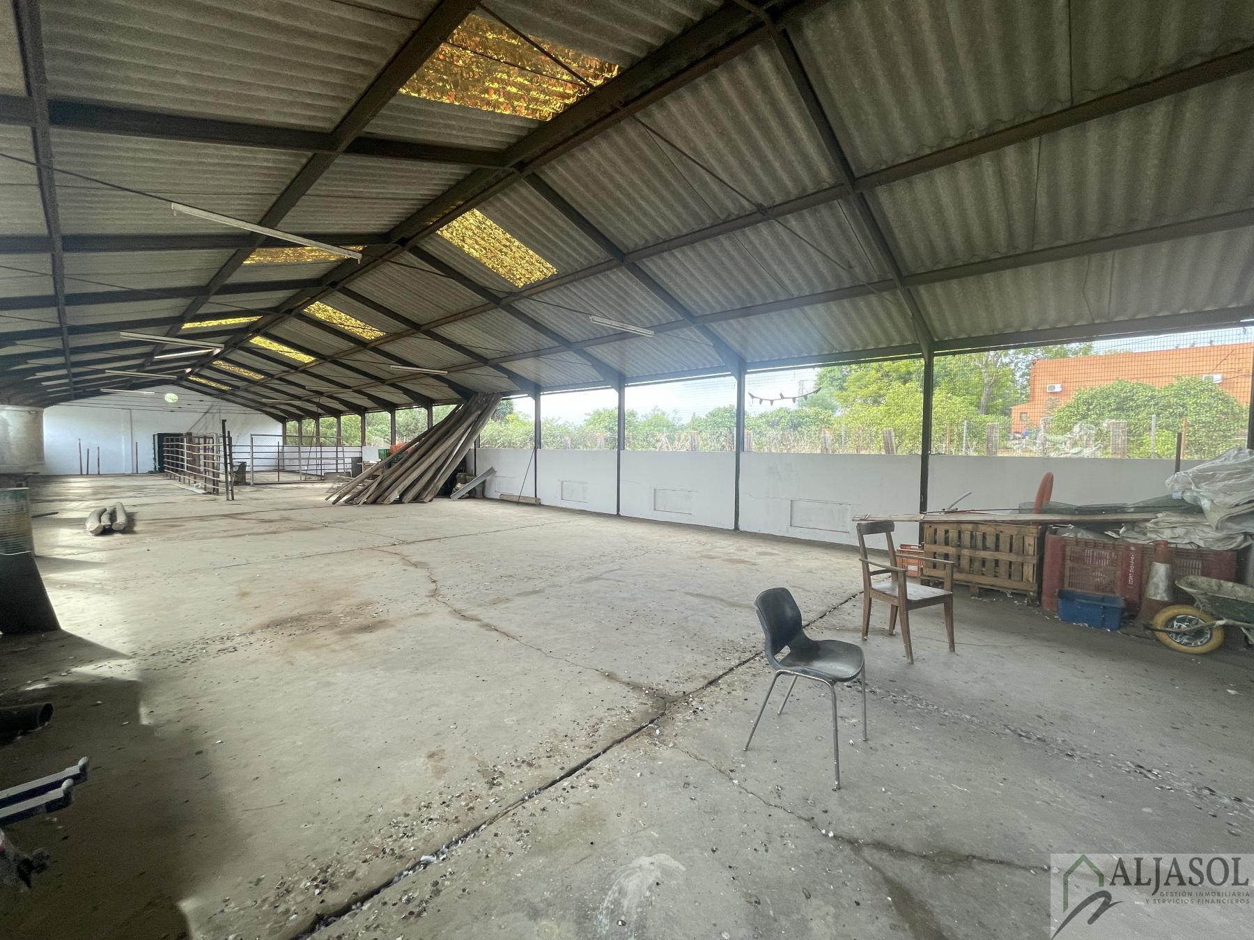 Venta de finca de recreo en Villanueva del Ariscal
