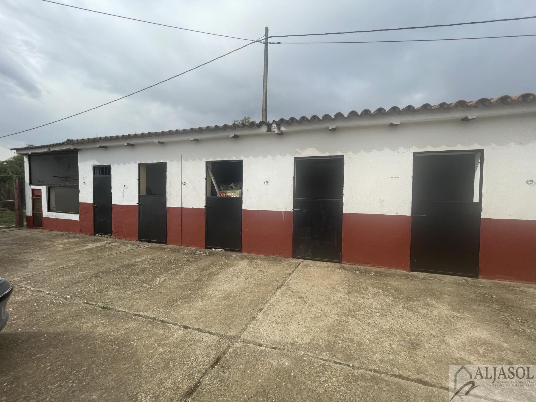 Venta de finca de recreo en Villanueva del Ariscal