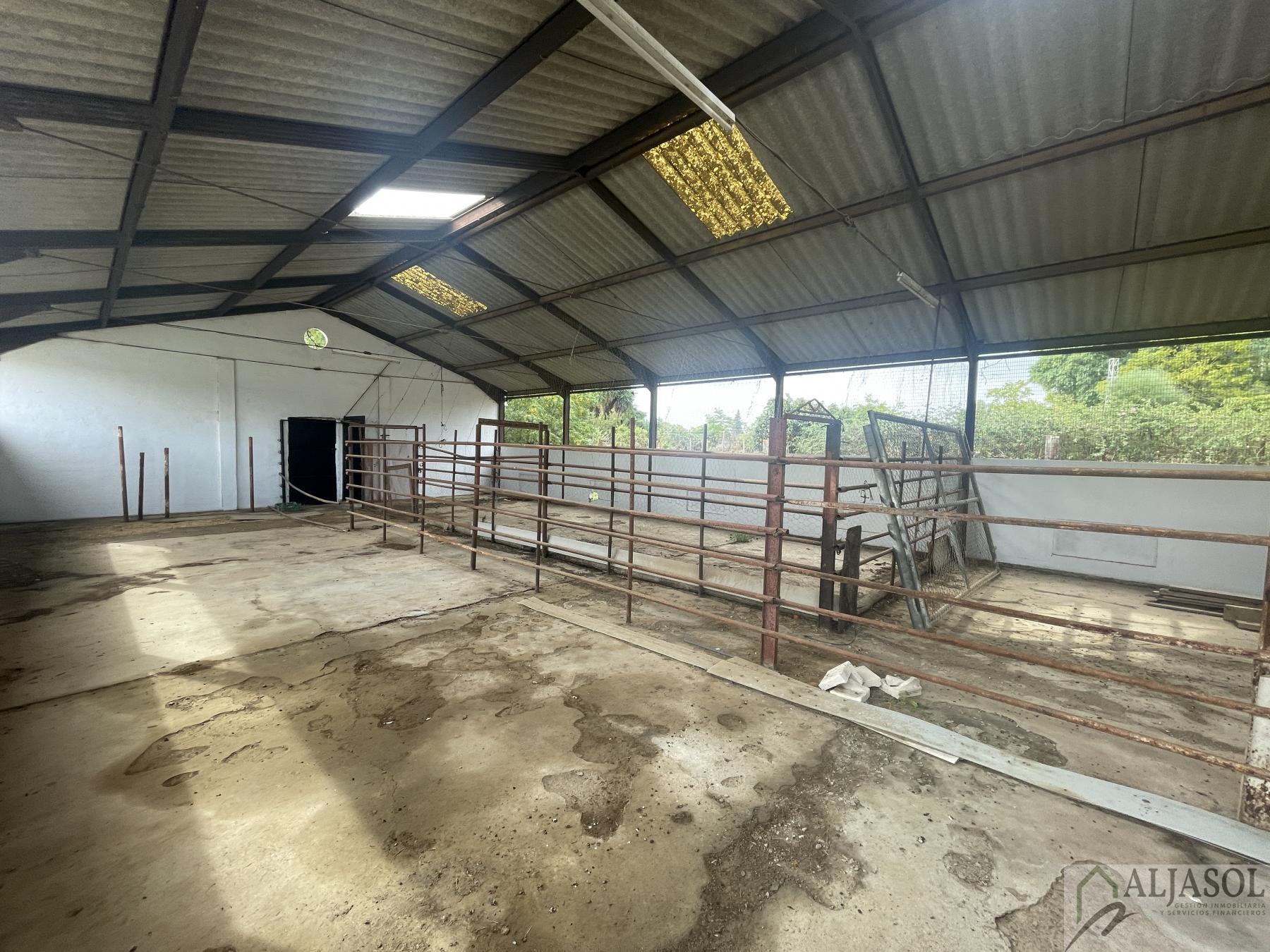 Venta de finca de recreo en Villanueva del Ariscal