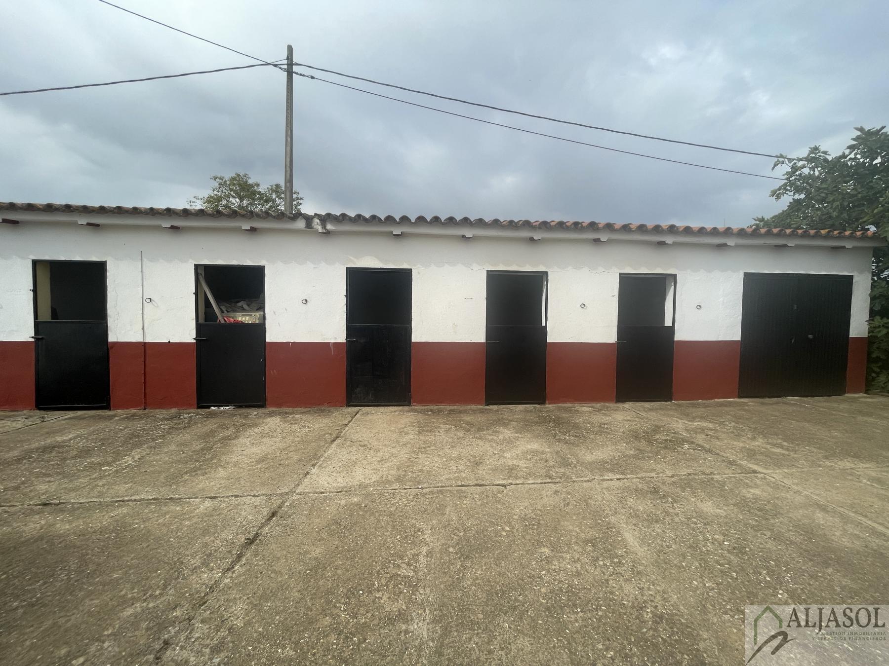 Venta de finca de recreo en Villanueva del Ariscal