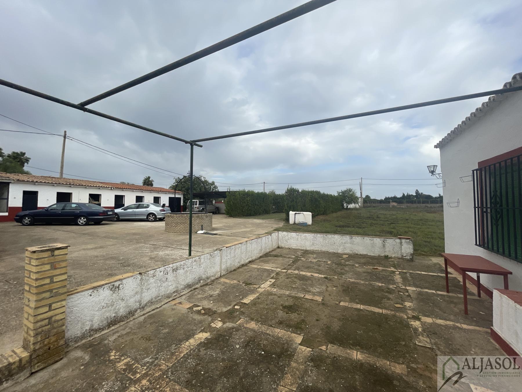 Venta de finca de recreo en Villanueva del Ariscal