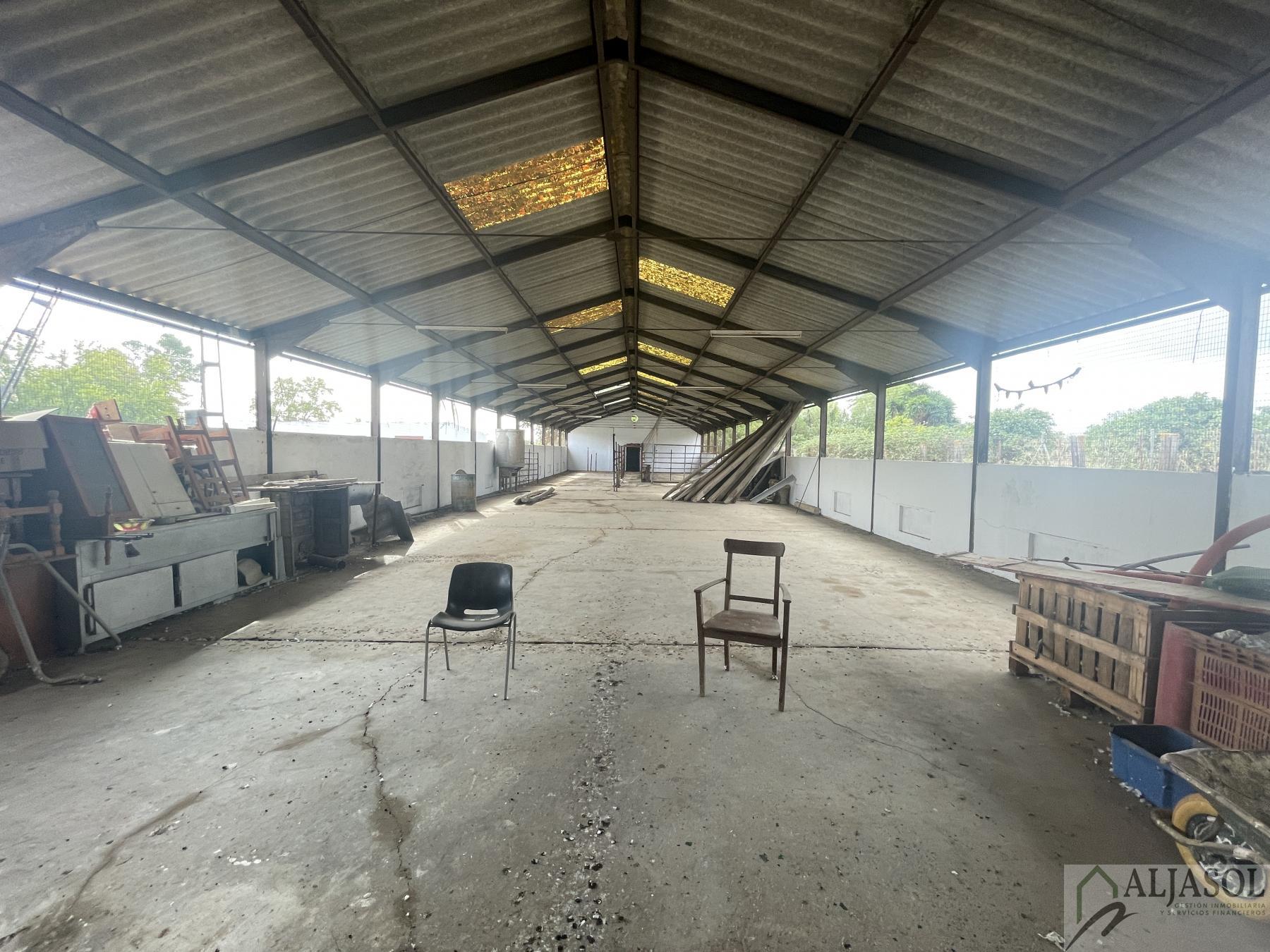Venta de finca de recreo en Villanueva del Ariscal