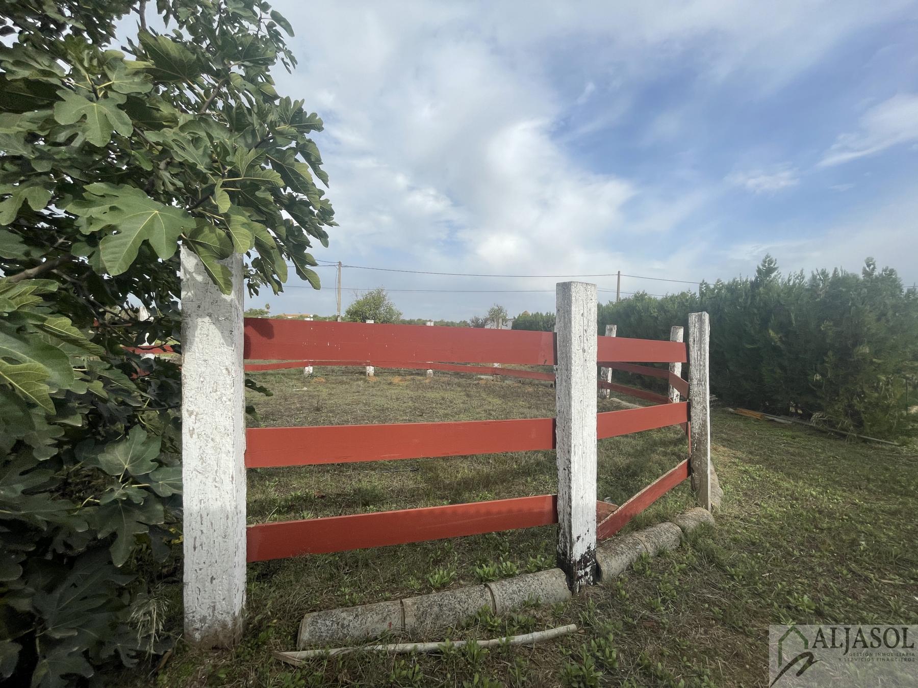 Venta de finca de recreo en Villanueva del Ariscal