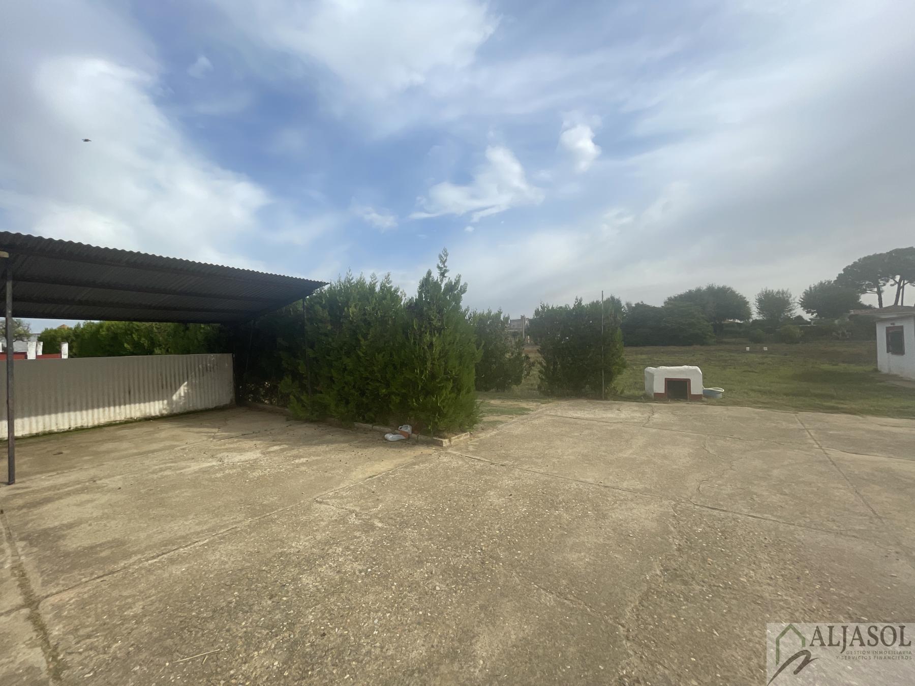 Venta de finca de recreo en Villanueva del Ariscal