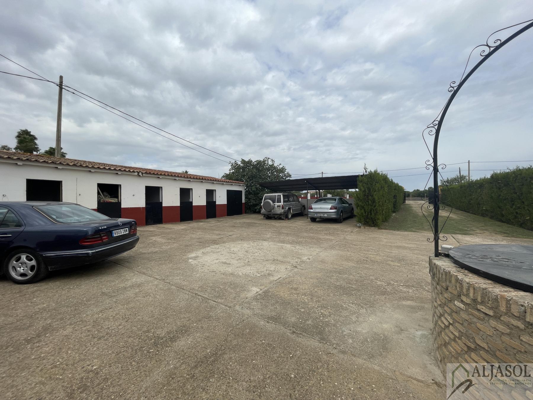Venta de finca de recreo en Villanueva del Ariscal