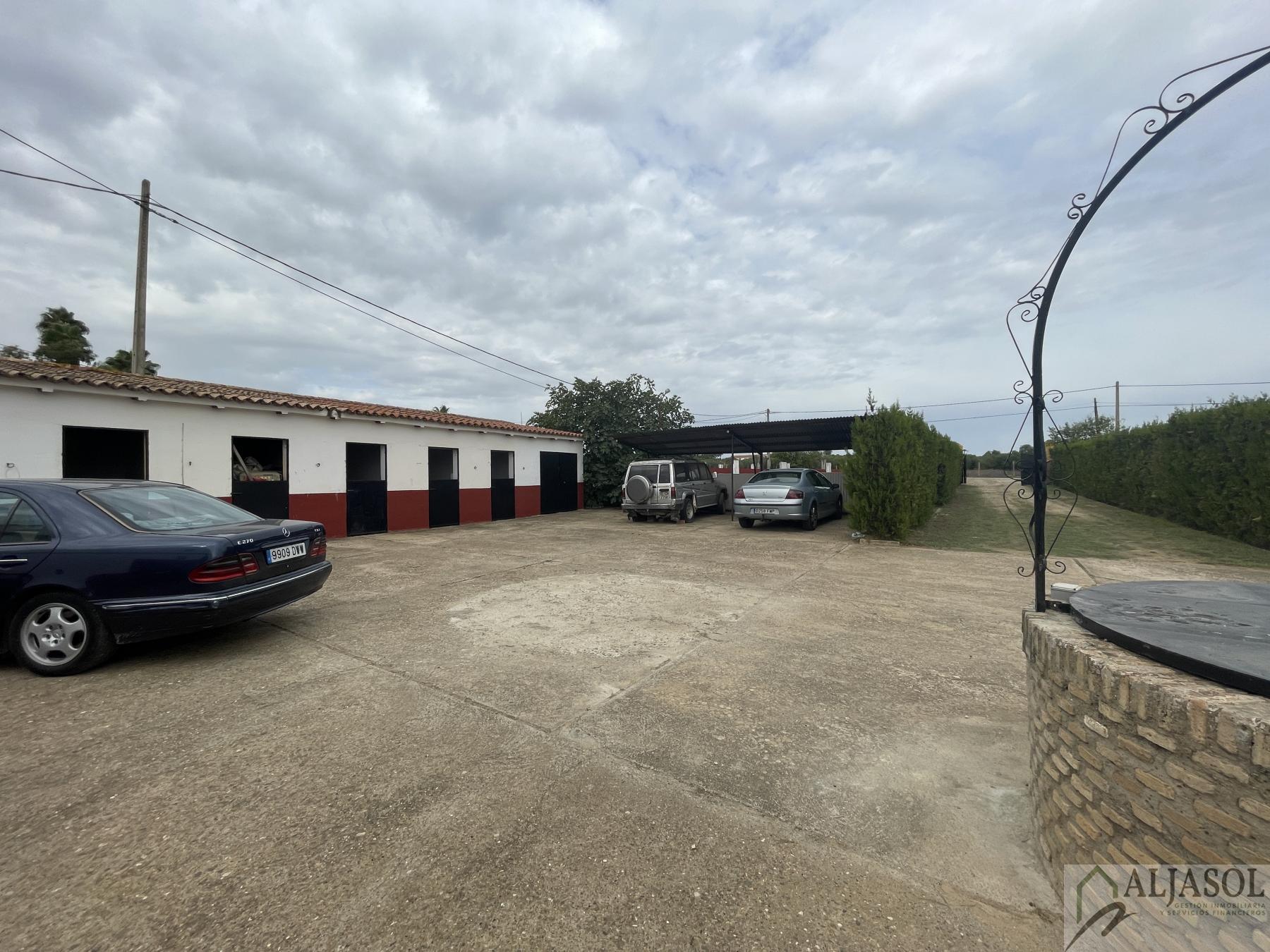 Venta de  en Villanueva del Ariscal