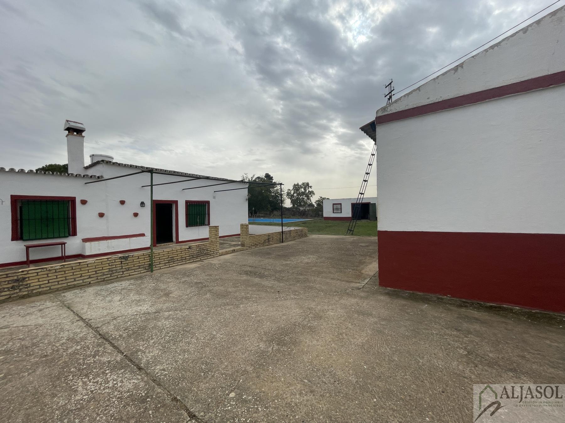 Venta de finca de recreo en Villanueva del Ariscal