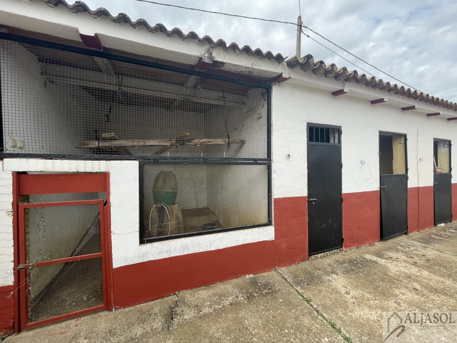 Venta de finca de recreo en Villanueva del Ariscal