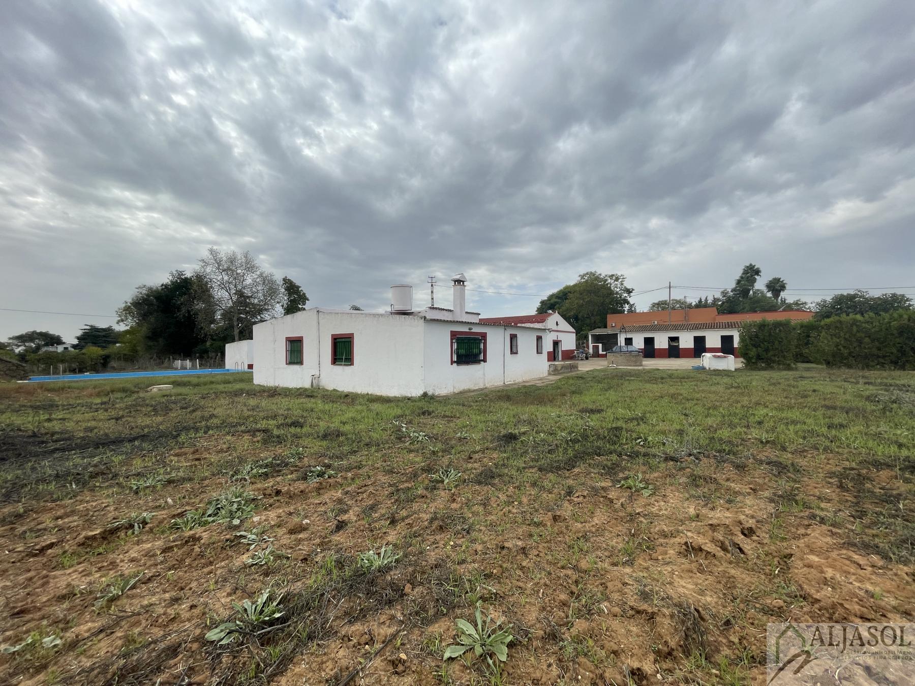 Venta de finca de recreo en Villanueva del Ariscal
