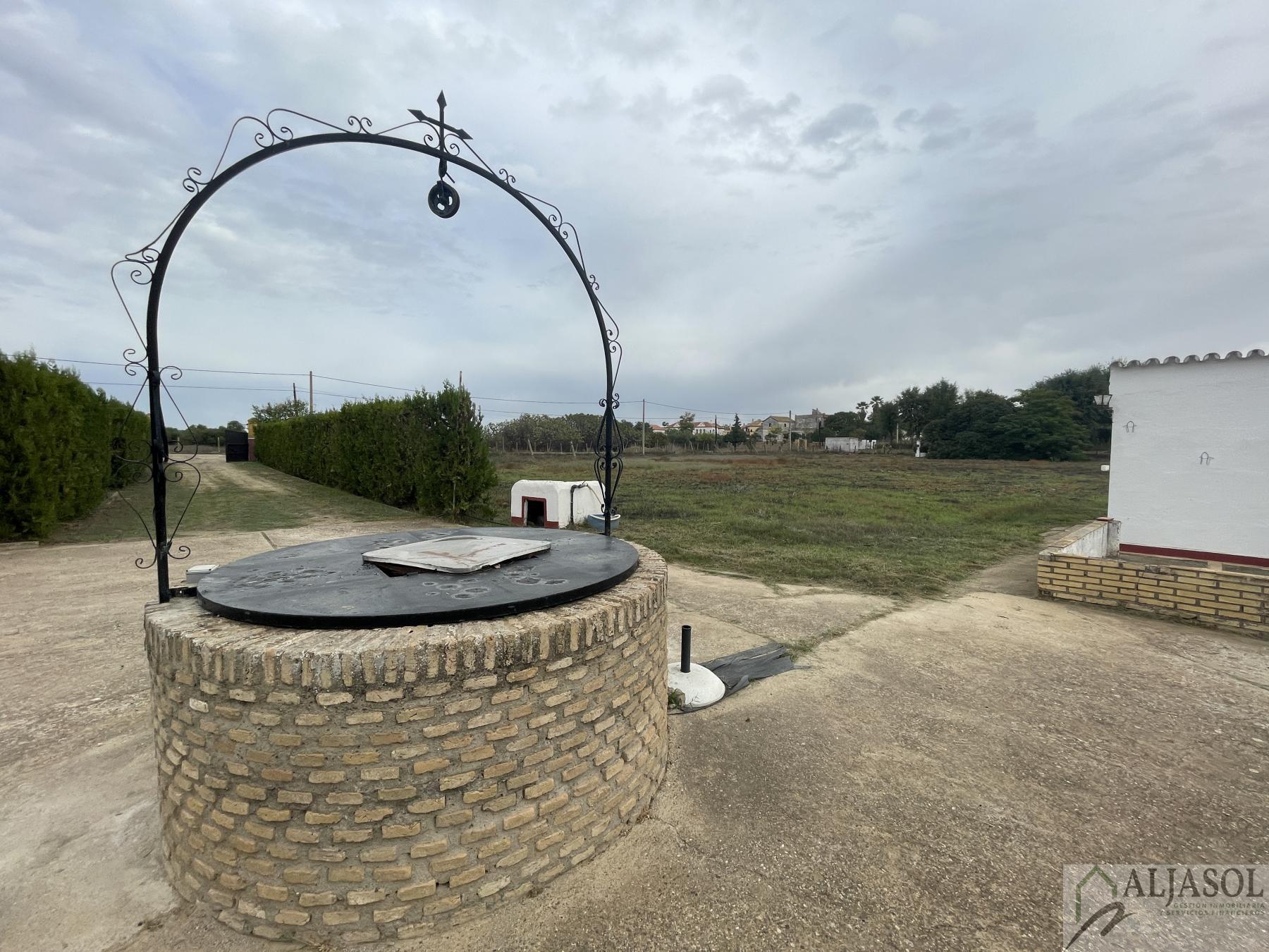 Venta de finca de recreo en Villanueva del Ariscal