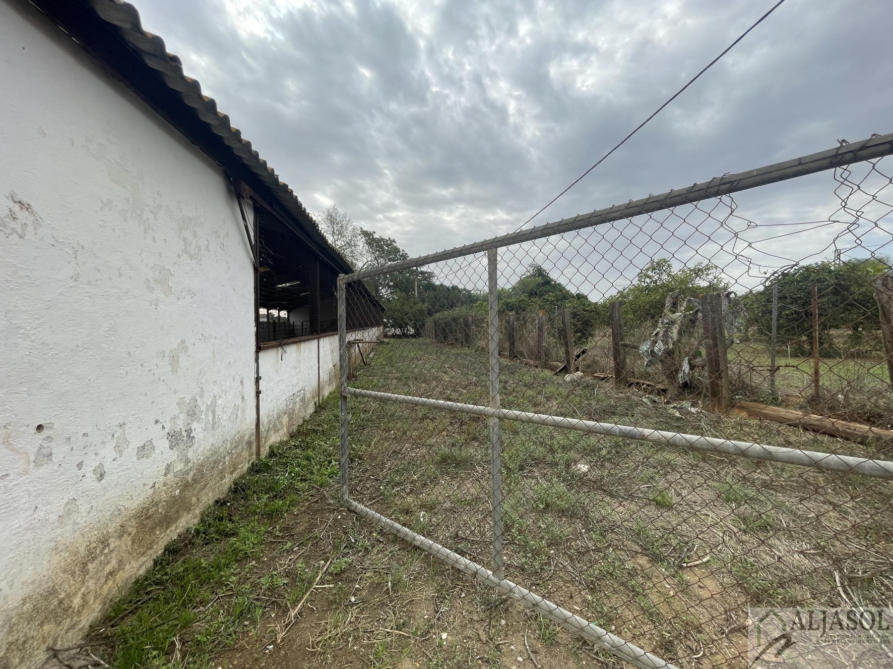 Venta de finca de recreo en Villanueva del Ariscal
