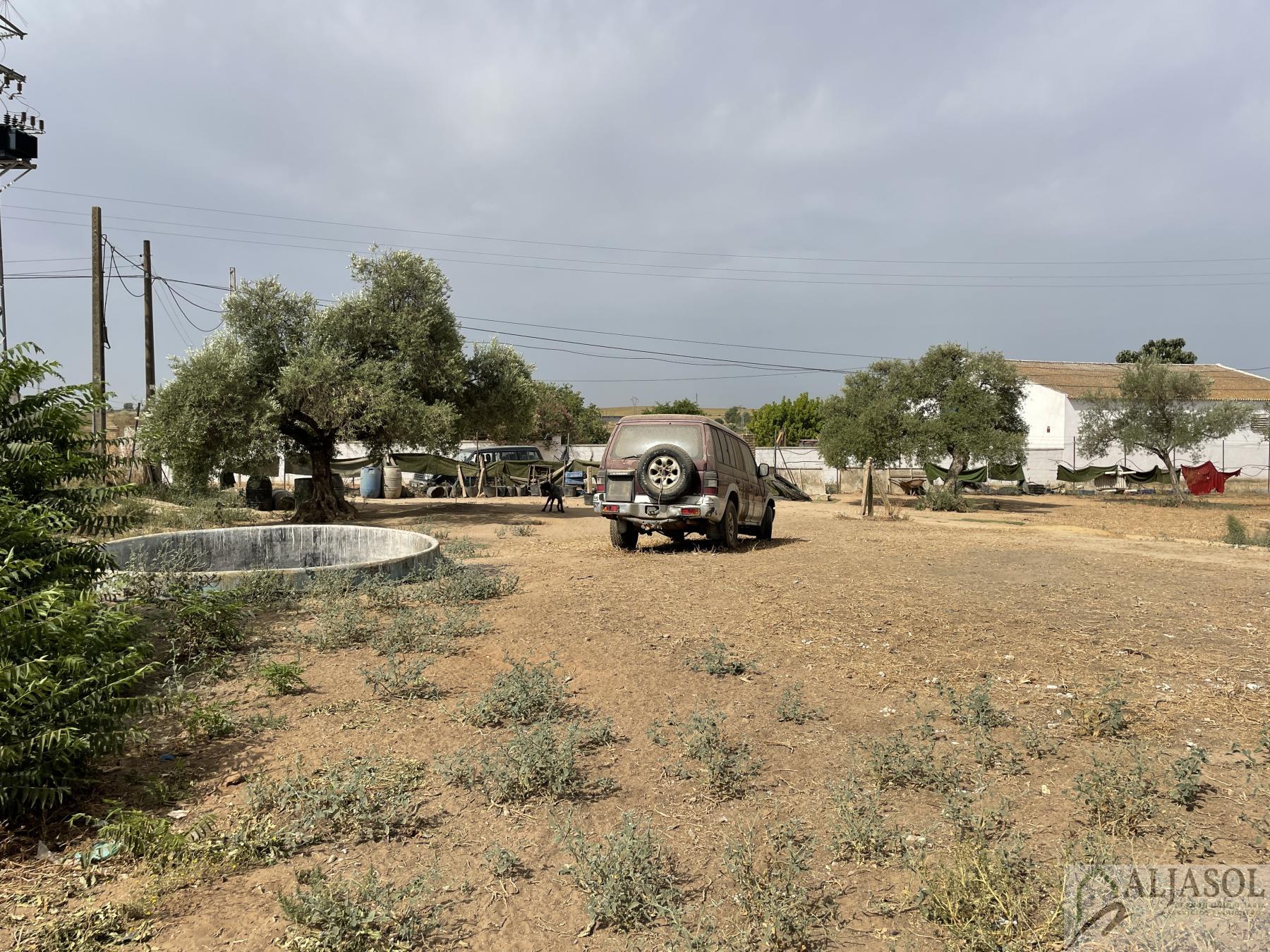 For sale of house in Coria del Río