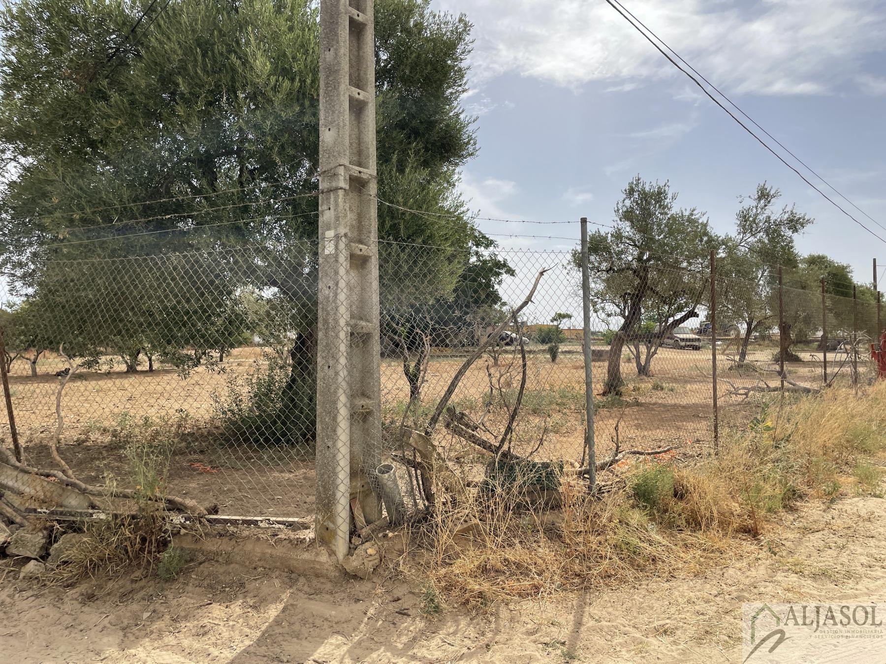 For sale of house in Coria del Río