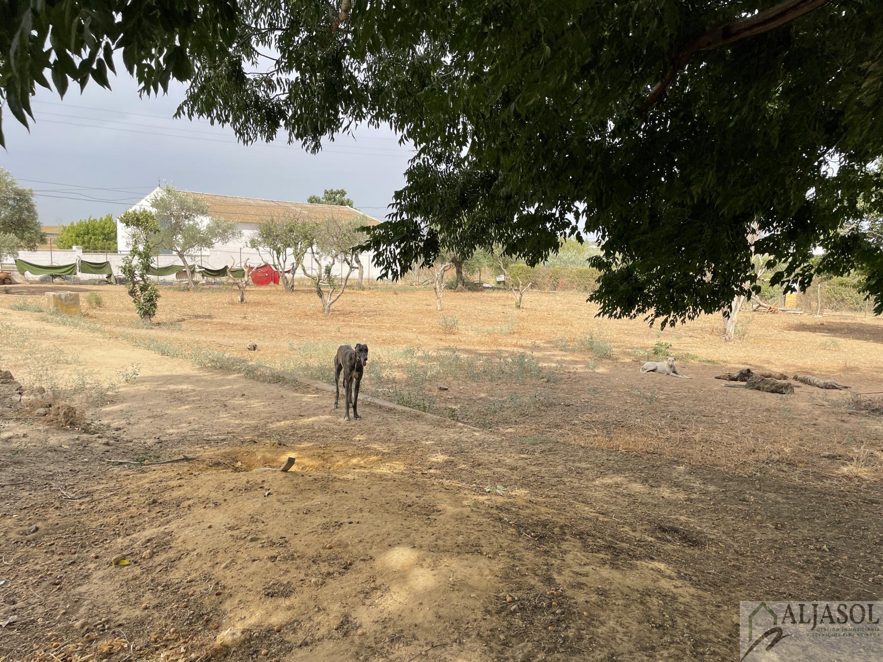 Venta de casa en Coria del Río