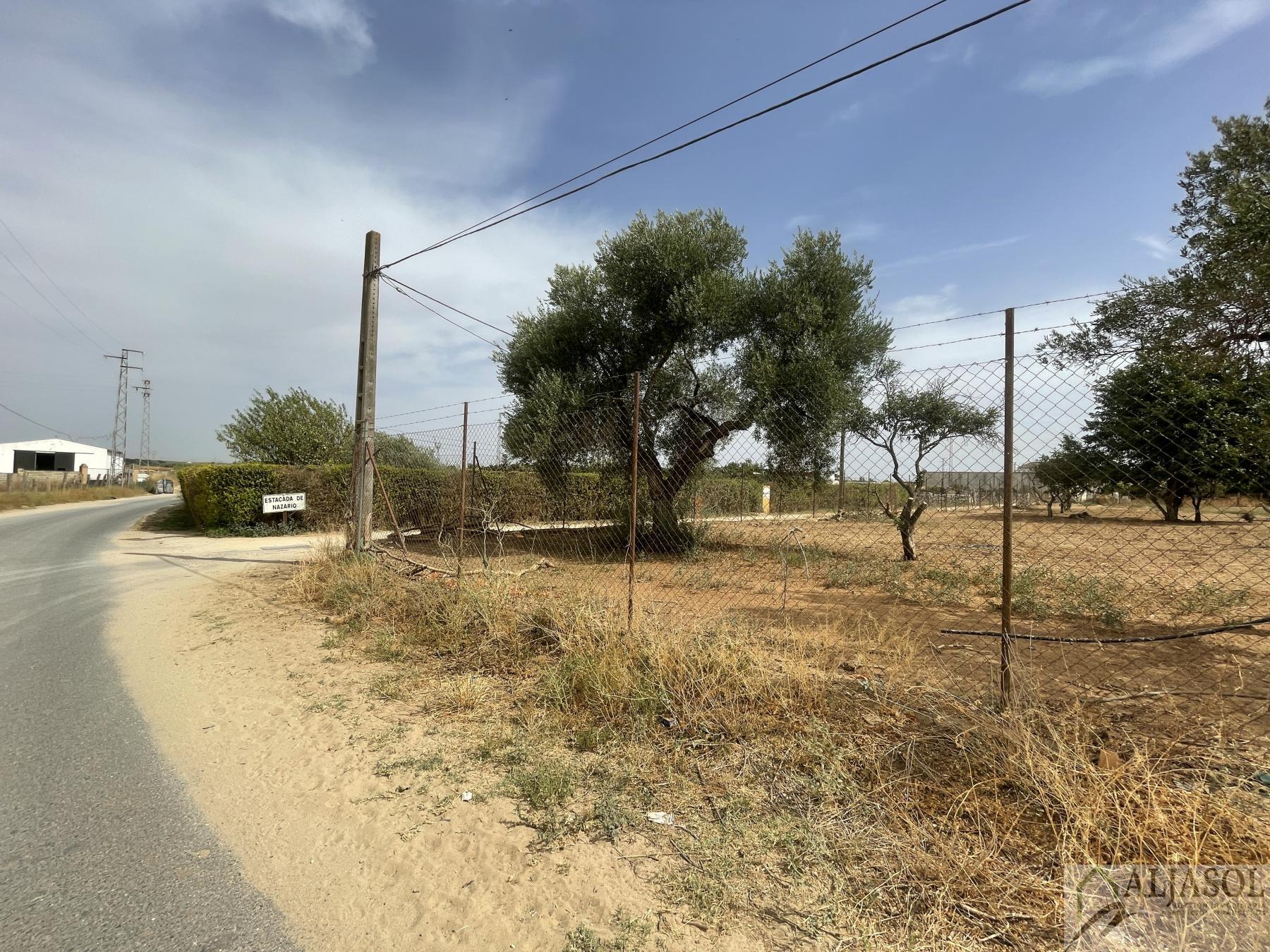 For sale of house in Coria del Río