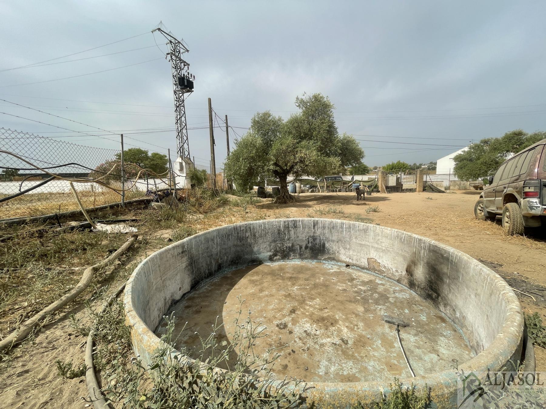 For sale of house in Coria del Río