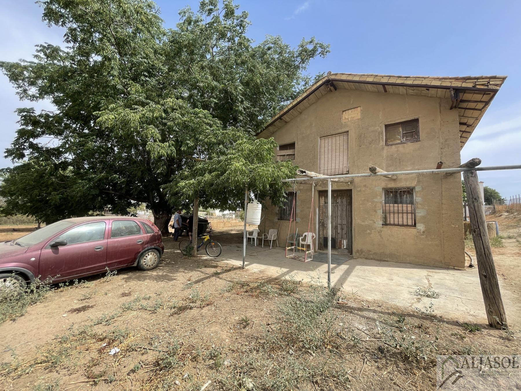 For sale of house in Coria del Río