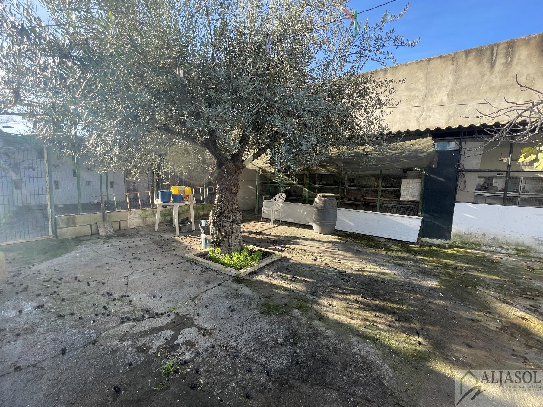 Venta de casa en Bollullos de la Mitación