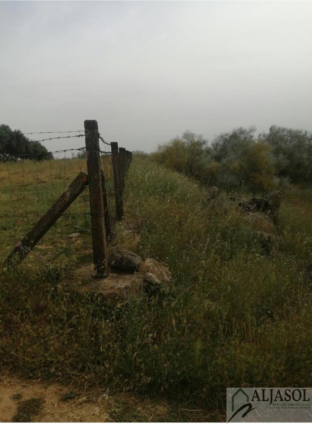 For sale of rural property in Castilblanco de los Arroyos