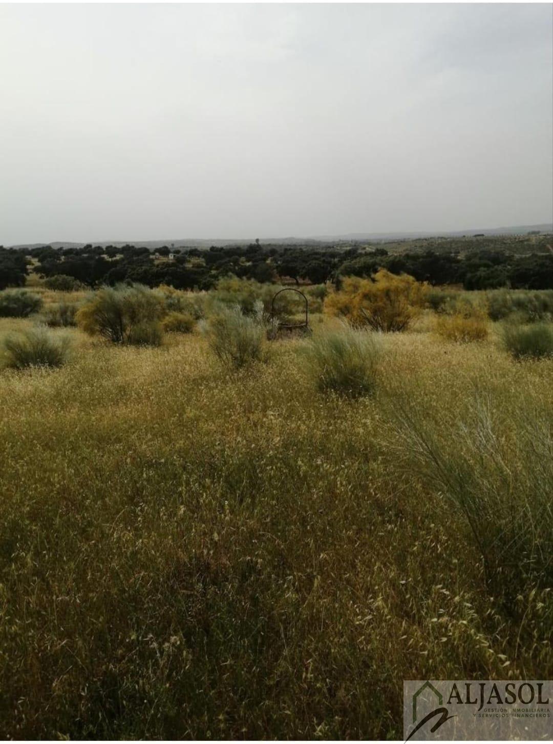 For sale of rural property in Castilblanco de los Arroyos