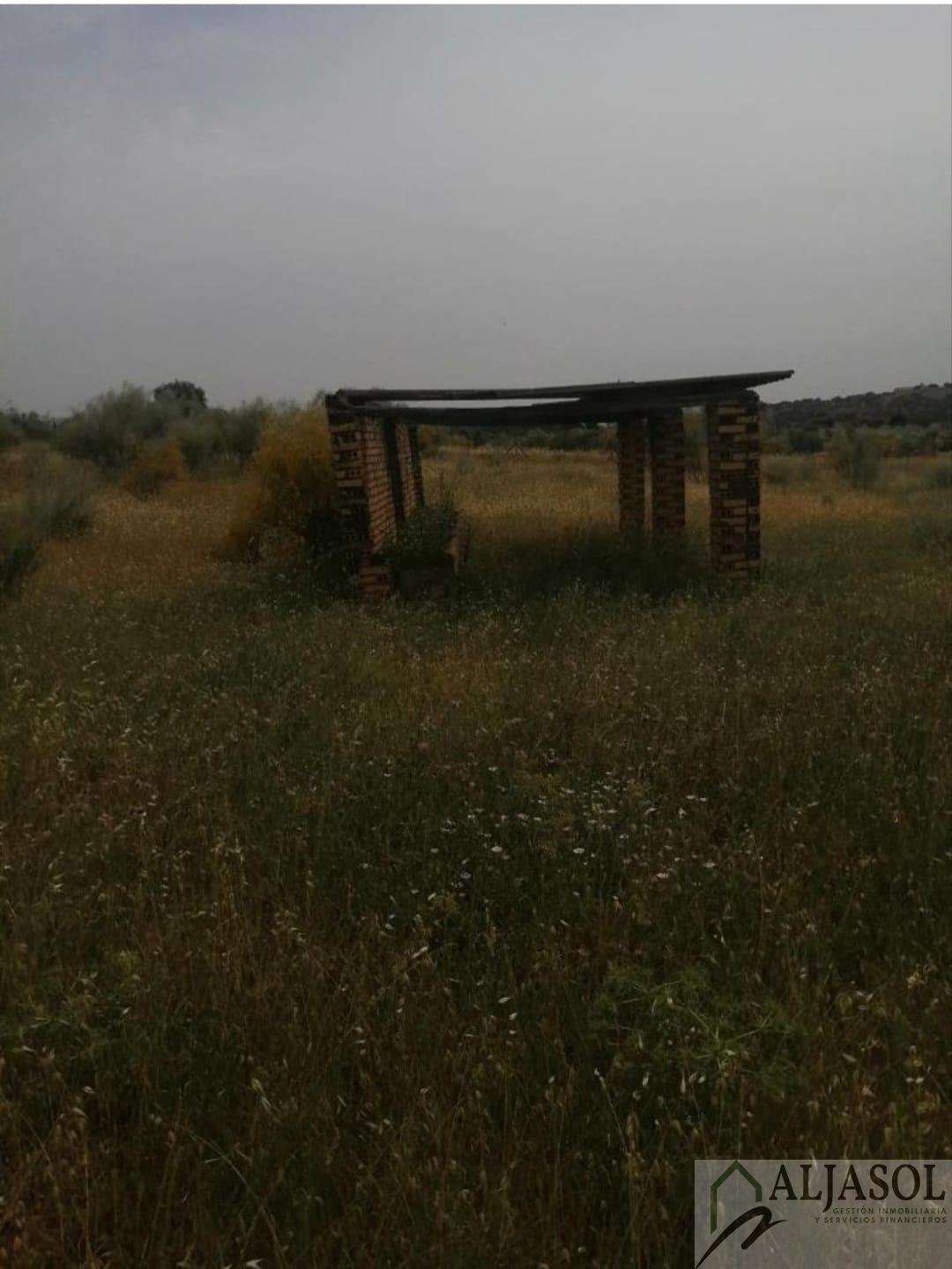 For sale of rural property in Castilblanco de los Arroyos