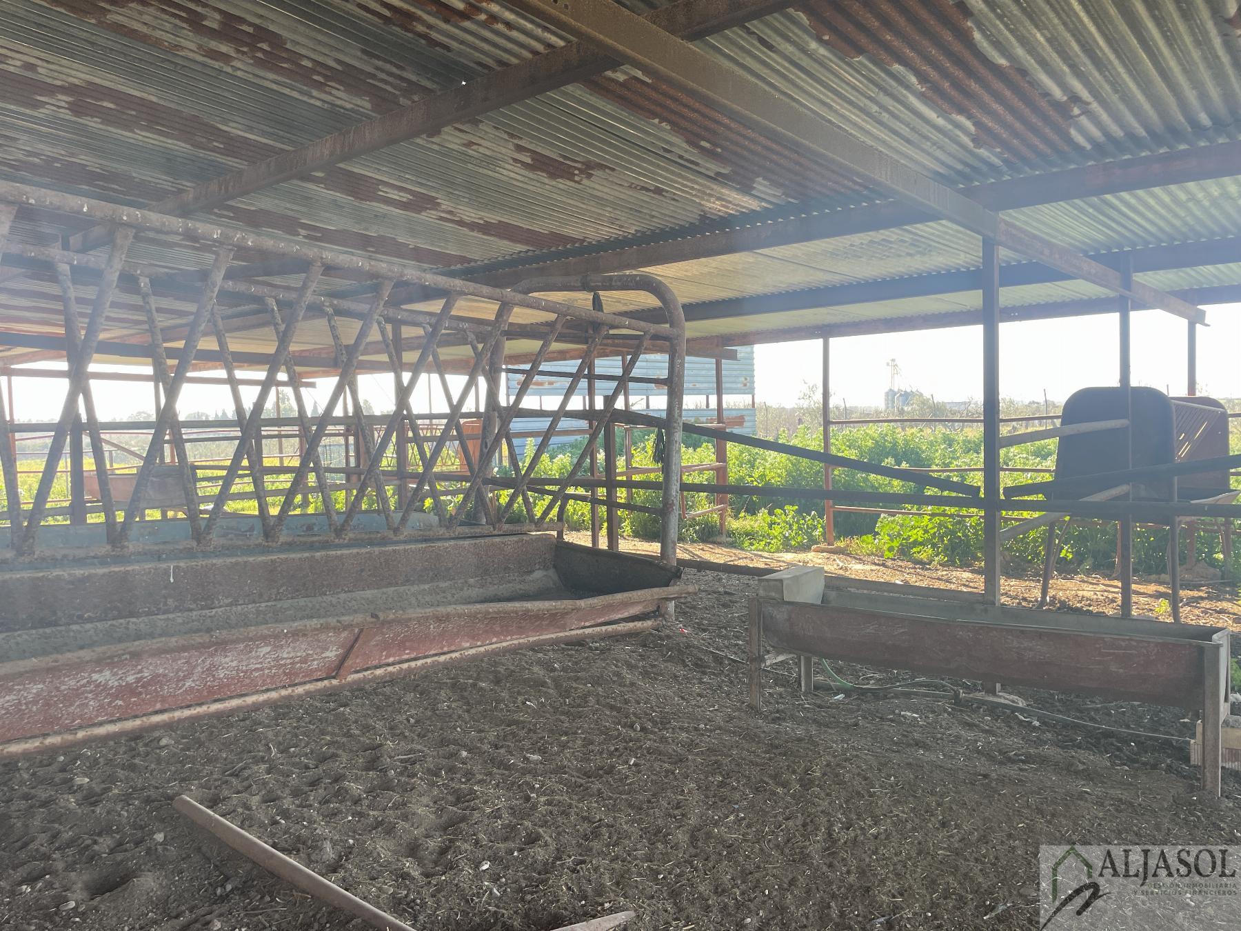 Venta de finca rústica en Bollullos de la Mitación