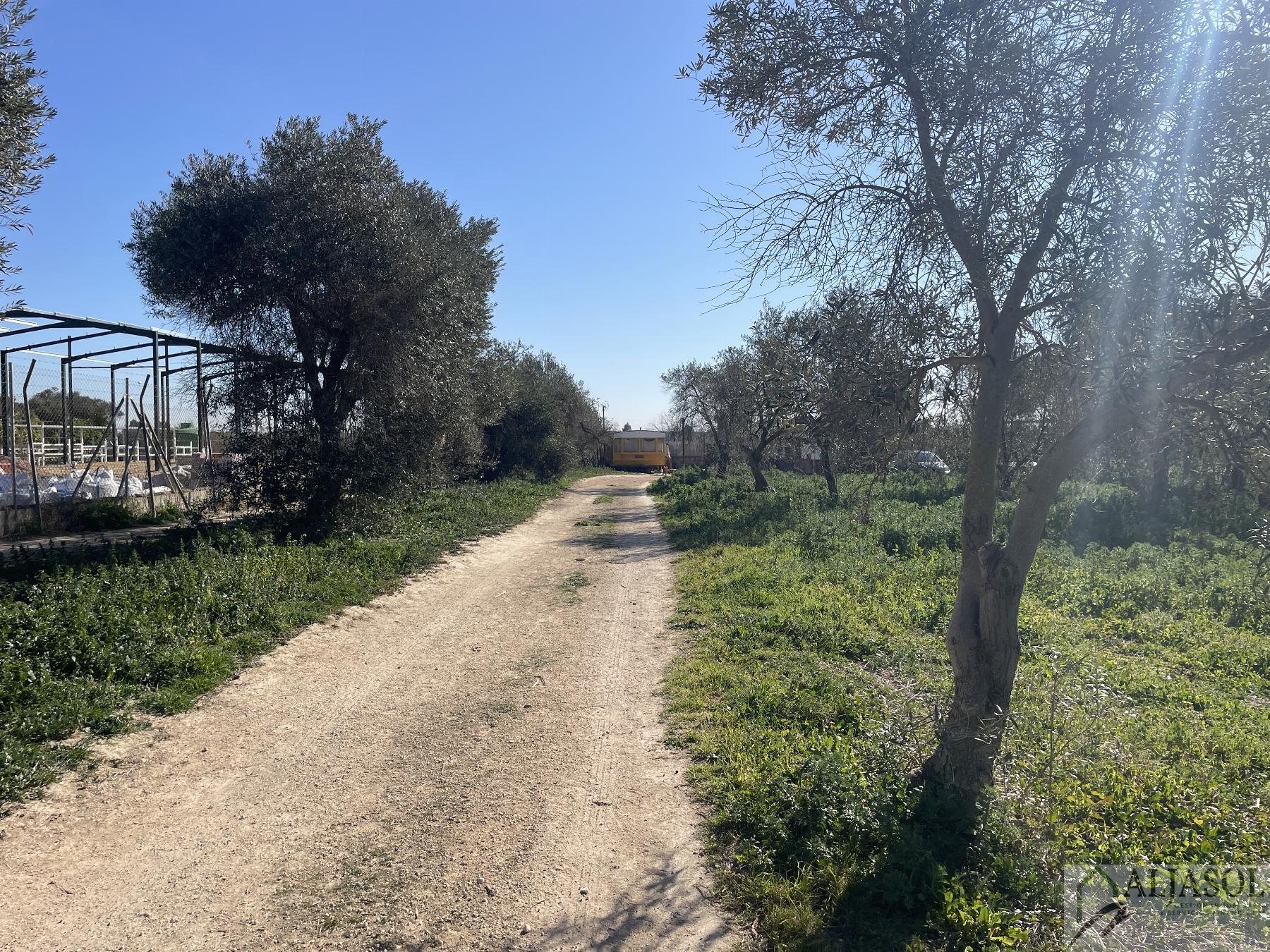 Venta de finca rústica en Bollullos de la Mitación