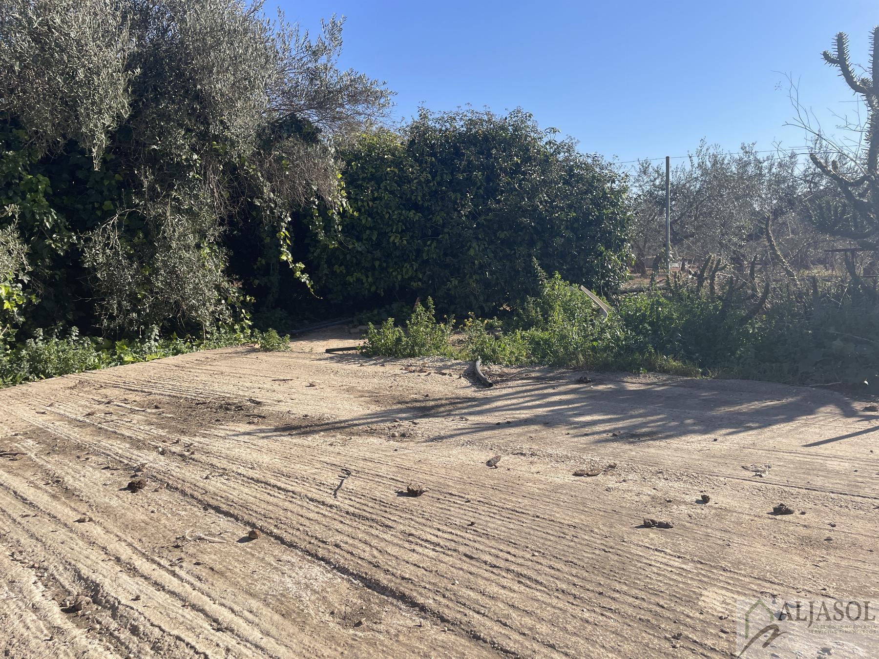 Venta de finca rústica en Bollullos de la Mitación