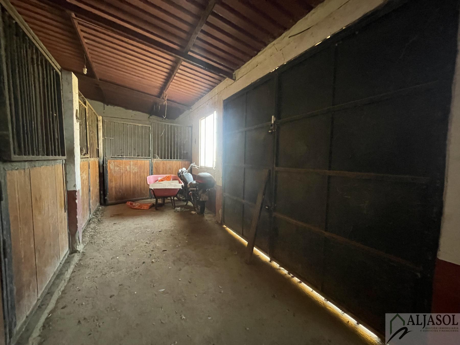Venta de finca rústica en Bollullos de la Mitación