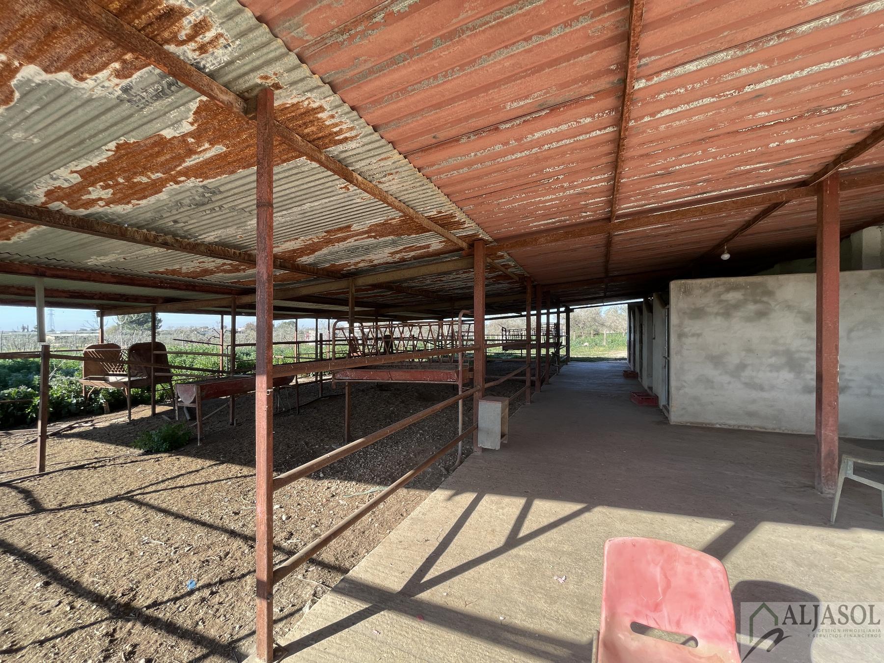 Venta de finca rústica en Bollullos de la Mitación