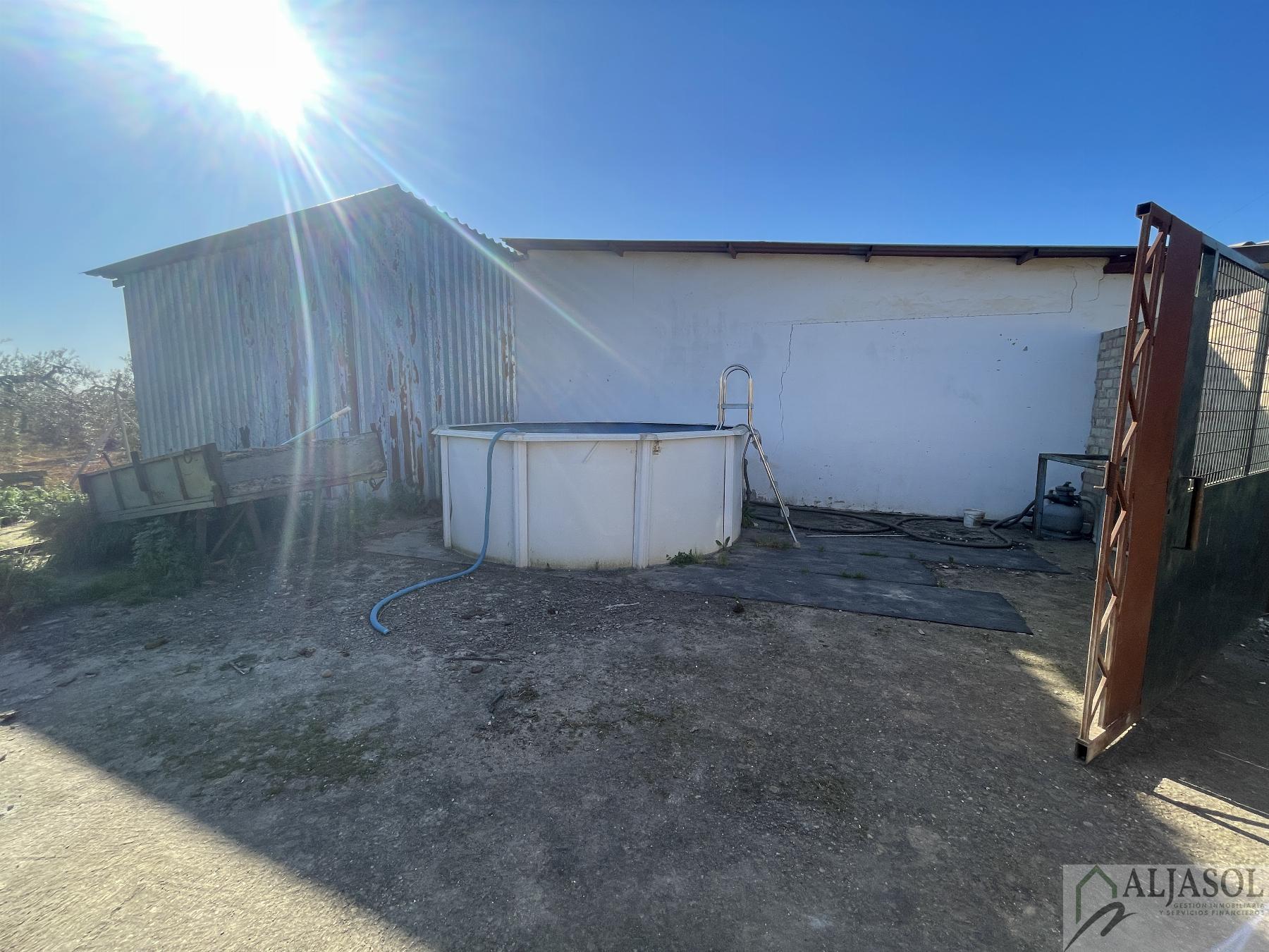 Venta de finca rústica en Bollullos de la Mitación