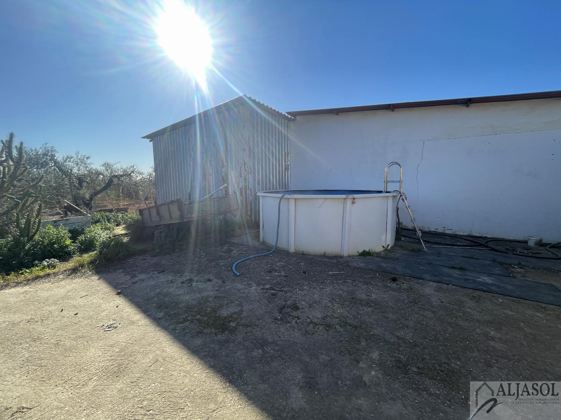 Venta de finca rústica en Bollullos de la Mitación