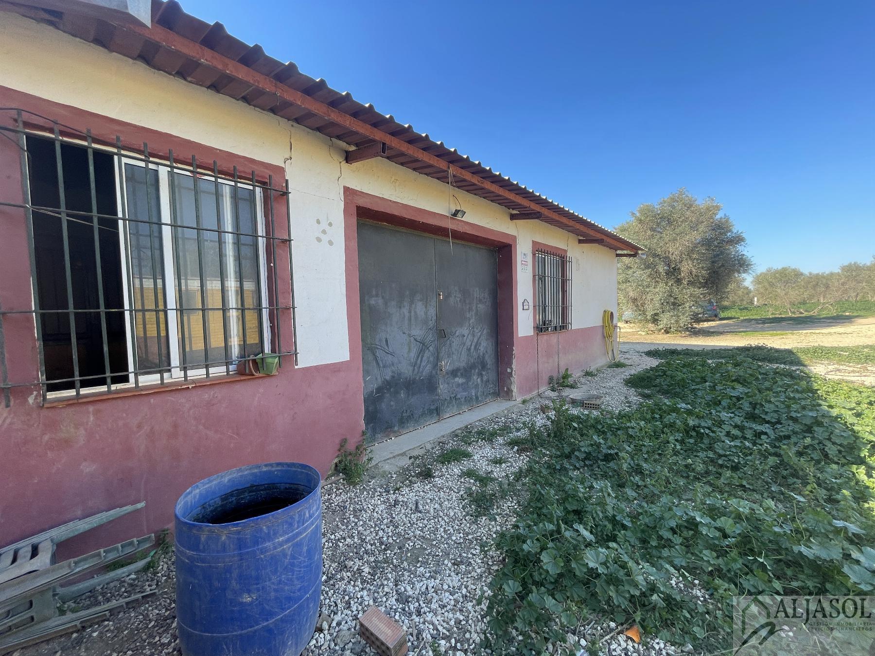 For sale of rural property in Bollullos de la Mitación