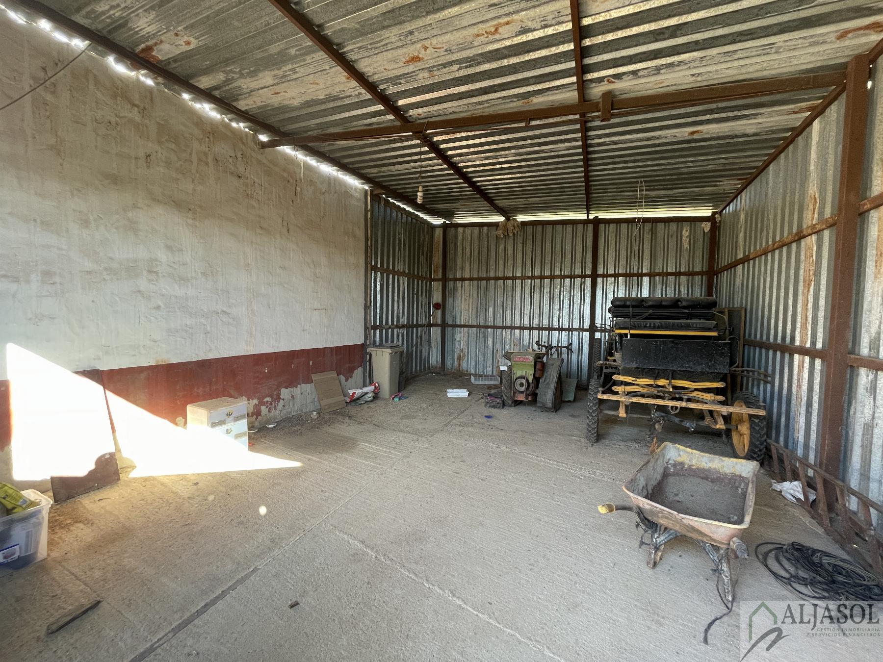 Venta de finca rústica en Bollullos de la Mitación