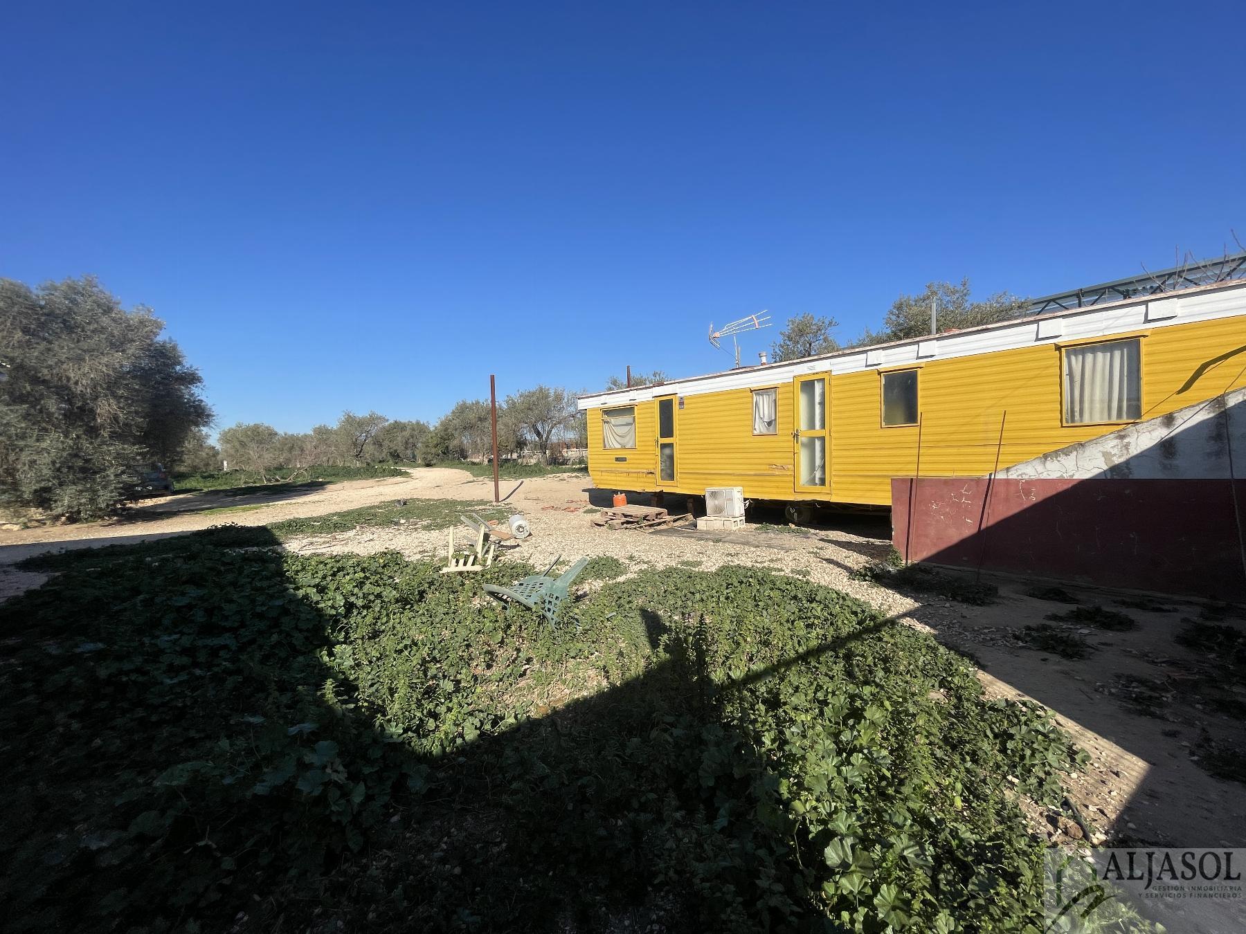 Venta de finca rústica en Bollullos de la Mitación