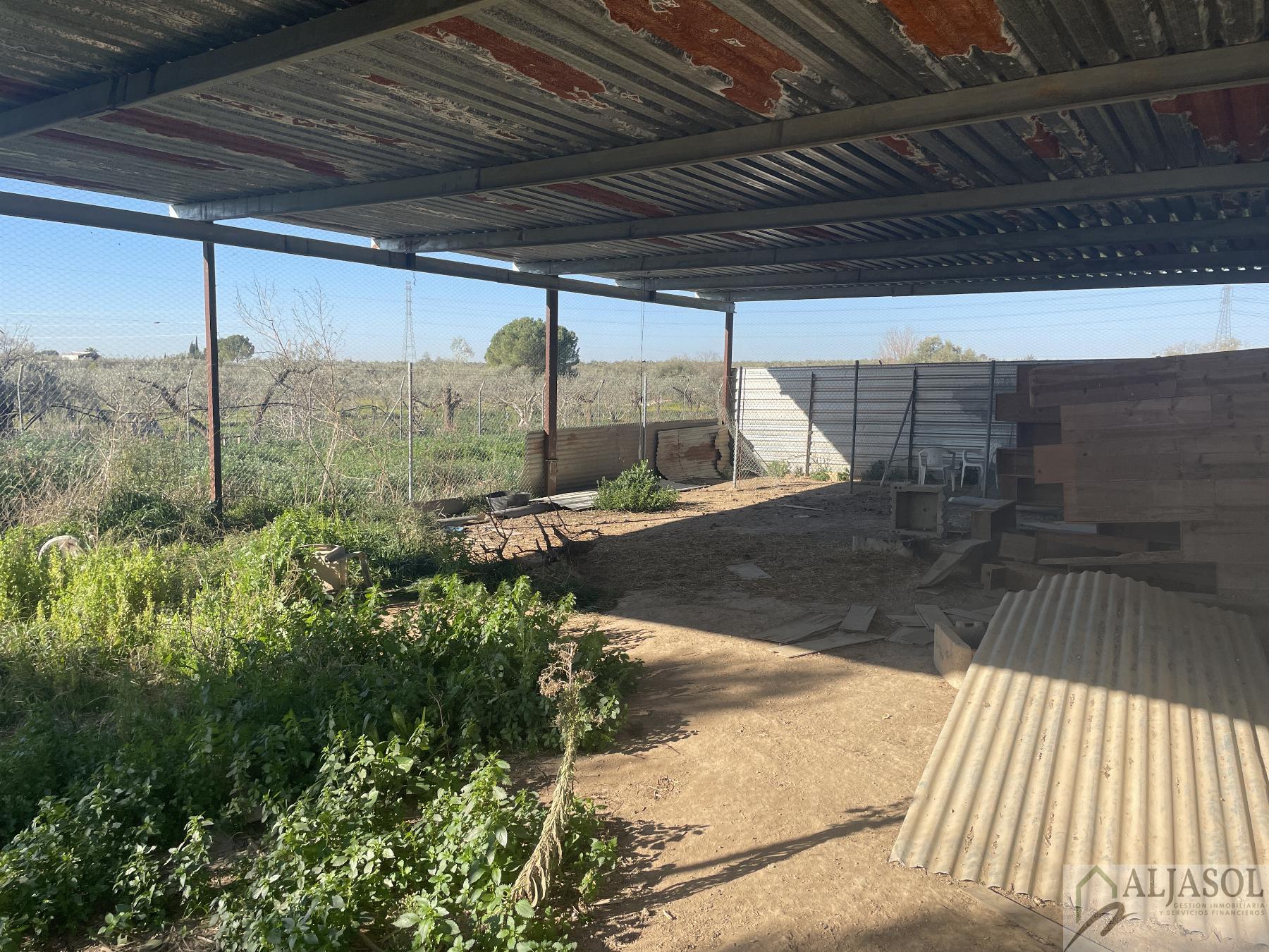 Venta de finca rústica en Bollullos de la Mitación