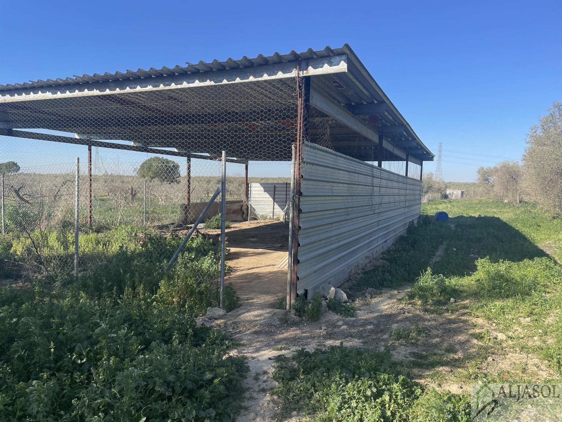 Venta de finca rústica en Bollullos de la Mitación