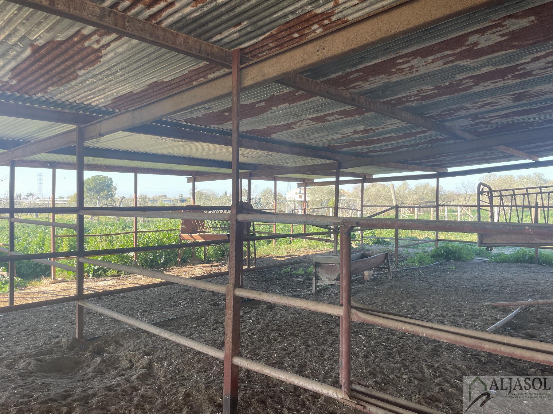 Venta de finca rústica en Bollullos de la Mitación