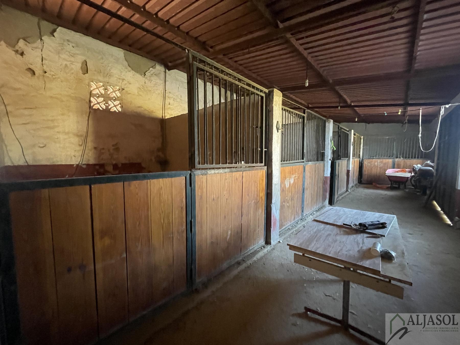 Venta de finca rústica en Bollullos de la Mitación