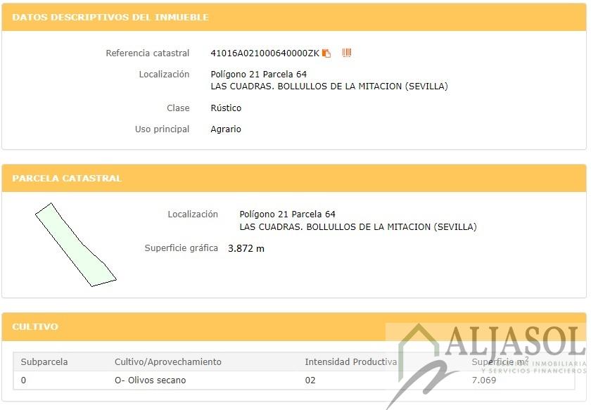 Venta de finca rústica en Bollullos de la Mitación