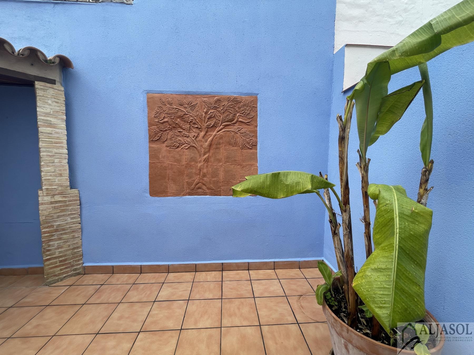 Alquiler de casa en Bollullos de la Mitación